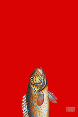Froosty - Christian Kernchen - Fish - Fisch - Vintage Pop Art
