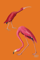 Froosty - Christian Kernchen - Flamingo - Vintage Pop Art