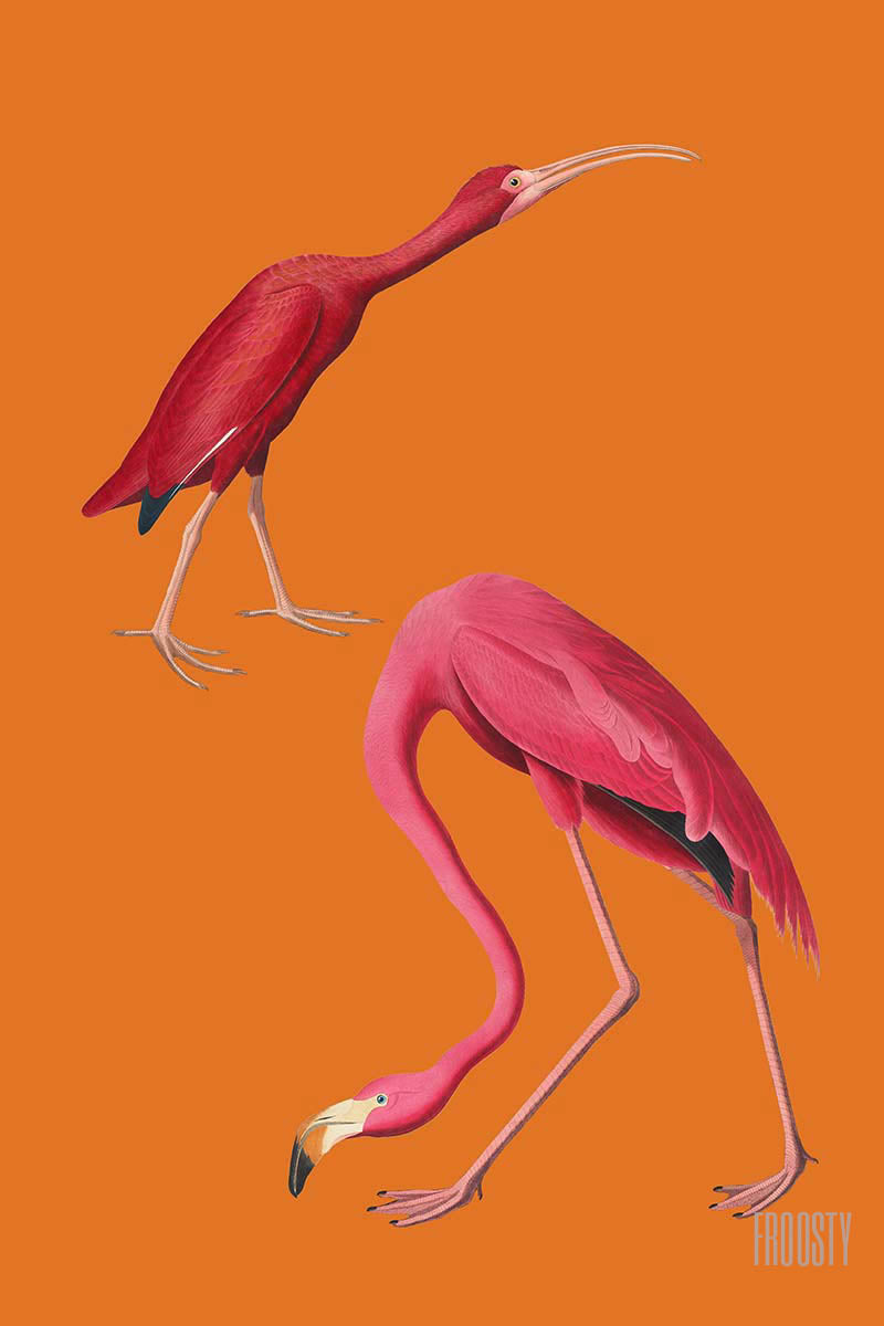 Froosty - Christian Kernchen - Flamingo - Vintage Pop Art