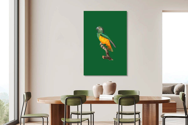 Froosty - Christian Kernchen - Parrot - Papagei - Vintage Pop Art
