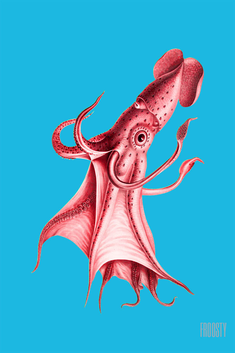 Froosty - Christian Kernchen - Octopus - Octopus - Vintage - Pop Art